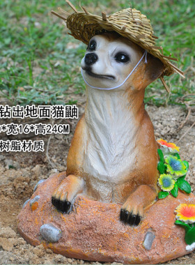 草帽猫鼬模型园艺盆景庭院装饰品