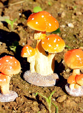 小蘑菇园艺苔藓微景观心理沙盘