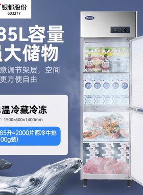 银都立式双门冰箱商用上下门保鲜冷冻厨房冷柜酒店保鲜雪柜