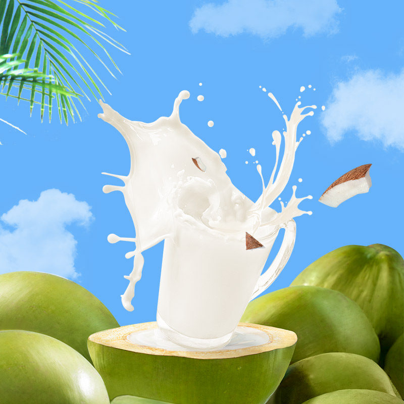 海南特产 南国纯椰子粉320克【蓝色立袋】速溶早餐浓椰奶椰汁粉香,淘宝优惠券,粉丝福利购,淘宝优惠卷