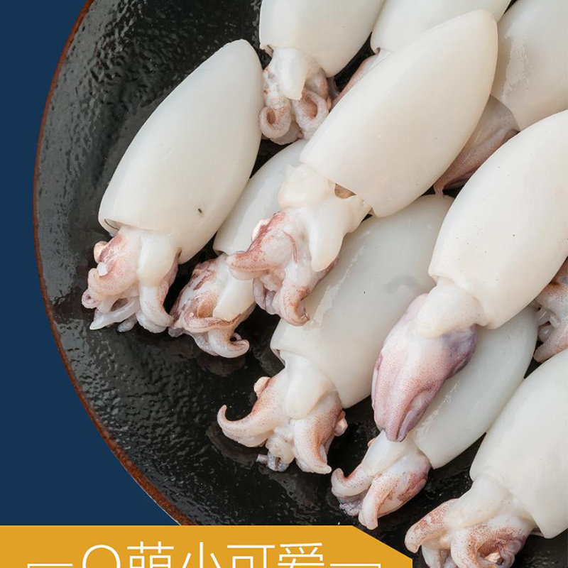 墨鱼仔鲜活冷冻鲜冻新鲜海鲜墨鱼目鱼乌贼小墨鱼仔酒店饭店商用,淘宝优惠券,粉丝福利购,淘宝优惠卷