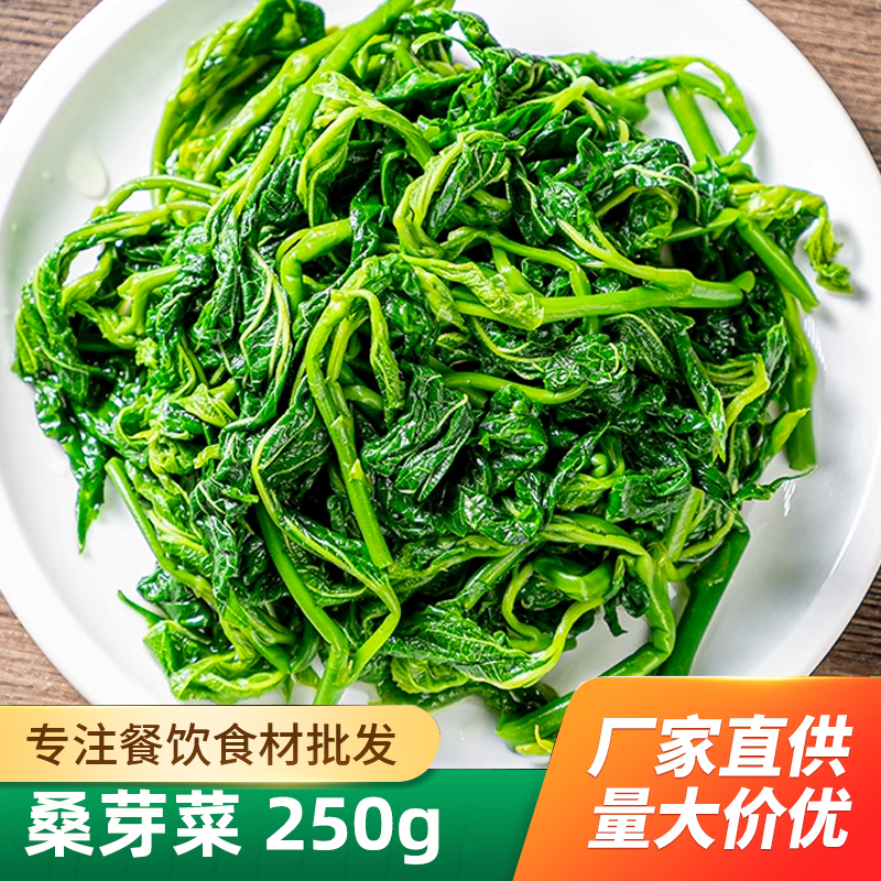 新鲜桑叶苗桑叶芽上汤桑叶菜新鲜食用嫩桑叶尖半成品特色冷冻商用 - 图2