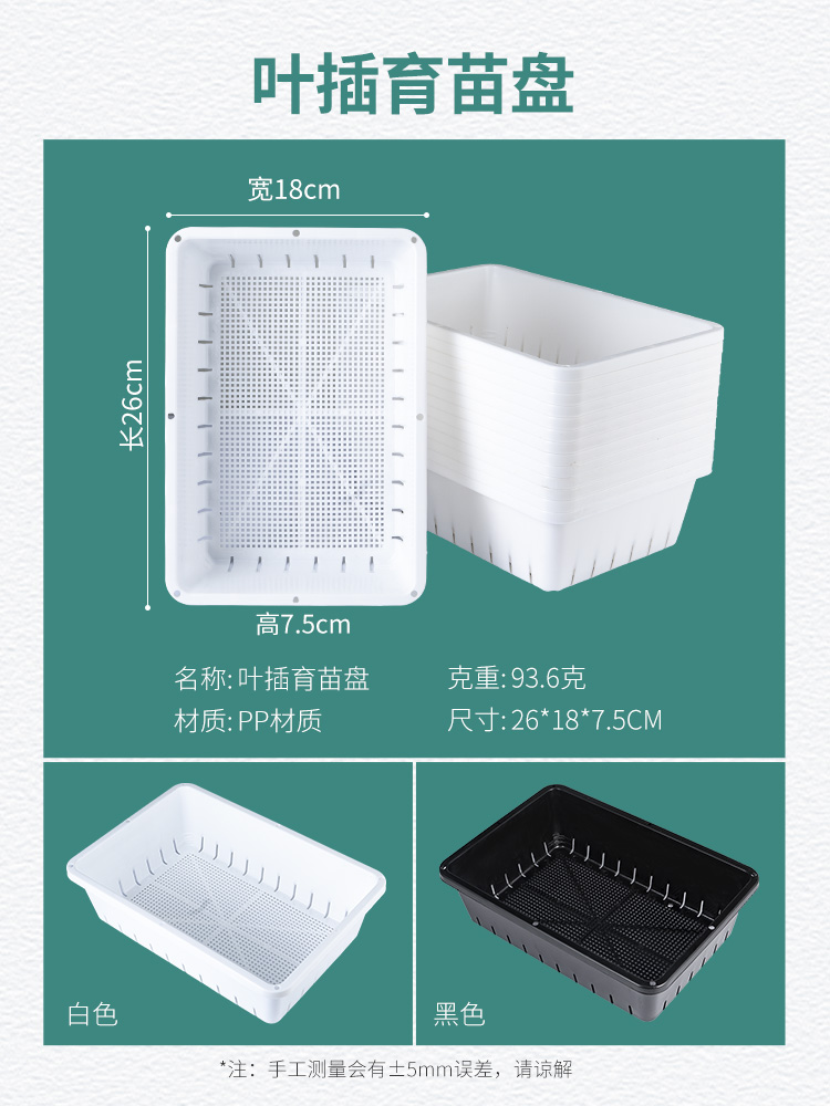 育苗盆多肉专用塑料肉锥生石花盆播种盘育苗框叶插繁殖托盘整理筐 - 图0