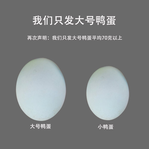 包邮正宗微山湖生鸭蛋鲜鸭蛋30枚红心散养大个青皮龙泰食品非咸蛋 - 图1