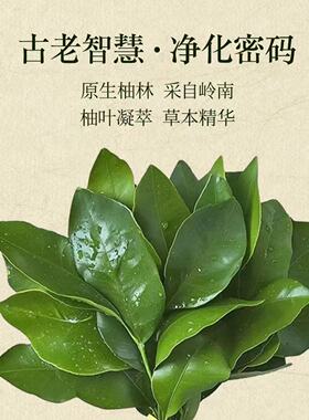 正宗广东碌柚叶合香牌