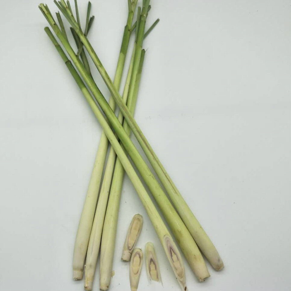 新鲜香茅草 柠檬香茅草烤鱼烤螺泰式冬阴功汤材料蔬菜500g  包邮,淘宝优惠券,粉丝福利购,淘宝优惠卷