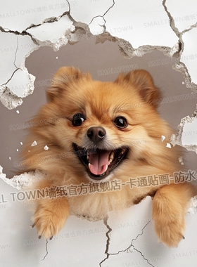 狗狗贴画可爱博美犬3D立体效果破墙而出宠物店装饰贴墙贴门贴自粘
