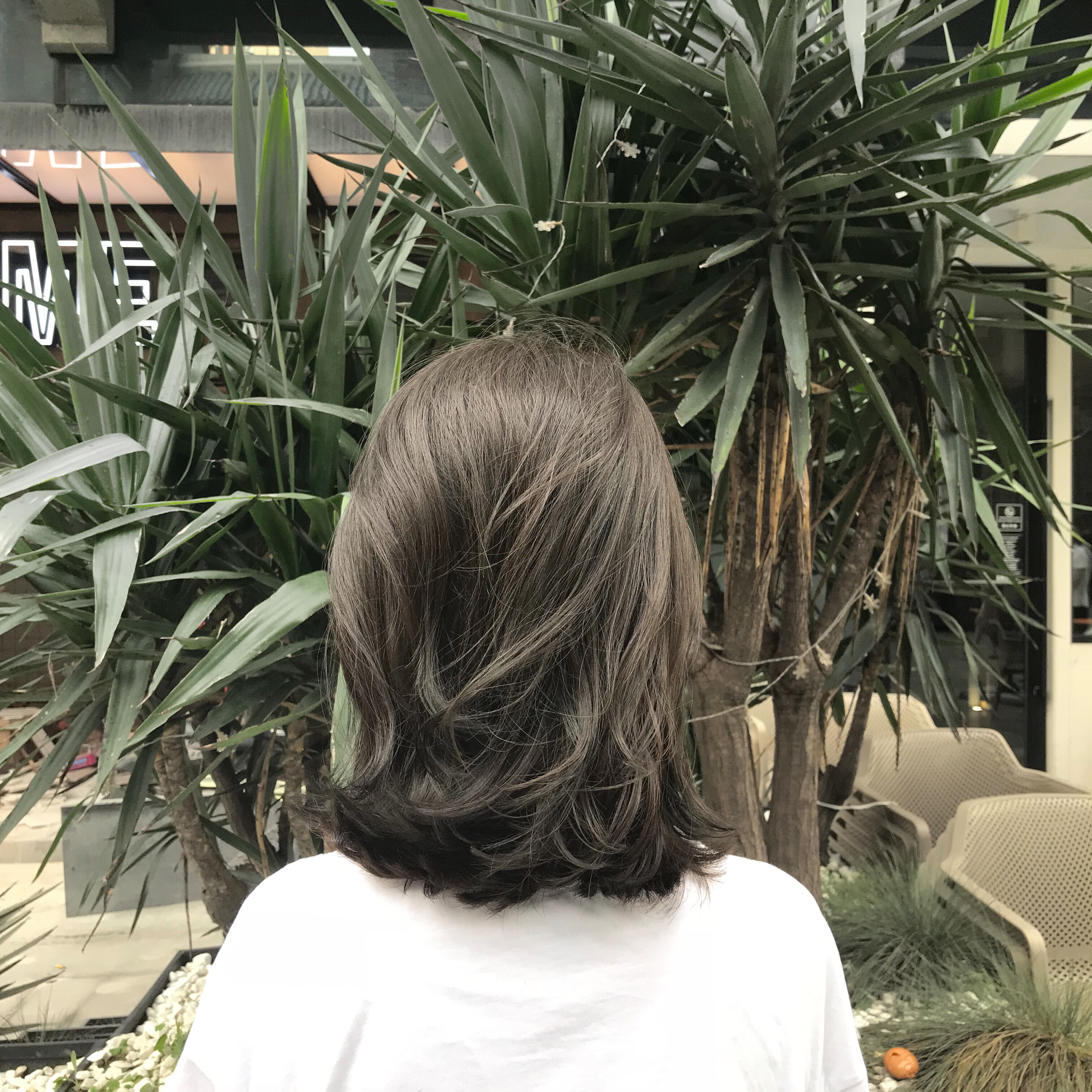 禹曦美业年发色奶茶色染发剂流行色自己染亚麻蓝黑染发膏女纯植物0