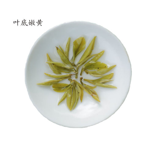 纯手工蒙顶甘露 50克 群体种绿茶2026明前新茶四川雅安蒙顶山茶 - 图3