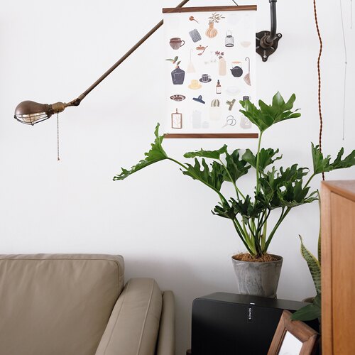 DOLV 豆绿 春羽蔓绿绒天使羽翼室内观叶植物卧室客厅好养新家绿植 - 图1