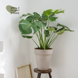 Dolv Dolv Dolvan Green Big Turtle Bamboo Tiannan Starke Nordic Furniture Дом зеленый растительный горшок горшок