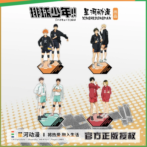 Официальная подлинная волейбольная карта для ювенильной двойной линии