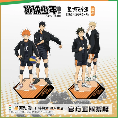 Официальная подлинная волейбольная карта для ювенильной двойной линии