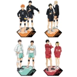 Официальная подлинная волейбольная карта для ювенильной двойной линии