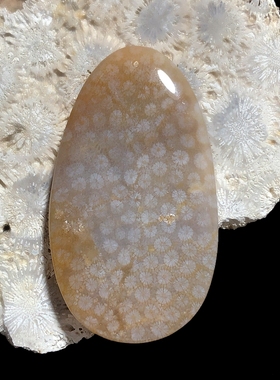 天然珊瑚玉精品果冻蝶恋花蝴蝶立体雕刻牌子吊坠项链一物一图玉化