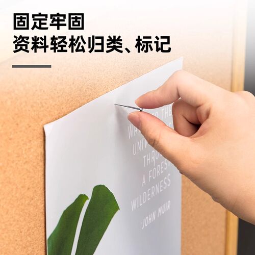得力大头针服装固定针办公钉子针服装固定器图针钢针不锈钢小头针金属直别针定位针钓鱼批发0016 - 图2