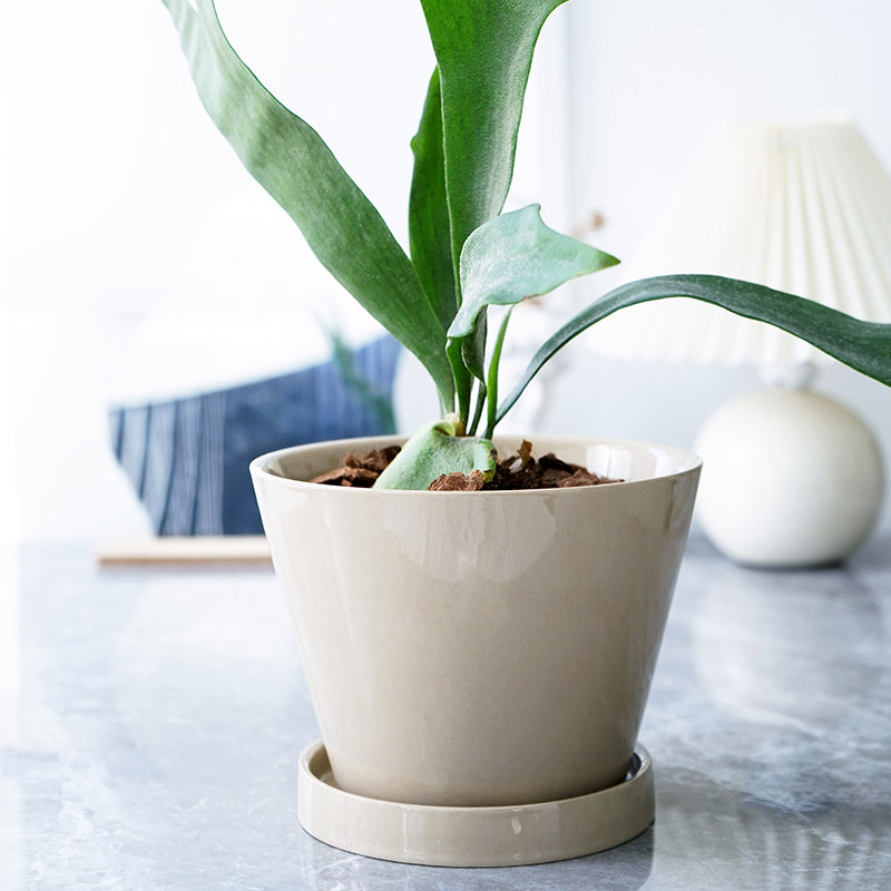 外贸陶瓷花盆复古蝴蝶兰专用兰花桌面轻奢高级感绿色盆栽套盆20CM,淘宝优惠券,粉丝福利购,淘宝优惠卷