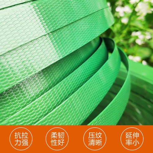 PET塑钢打包带绿色1206 1606 1608 1910手工塑料捆绑带净重10公斤 - 图0