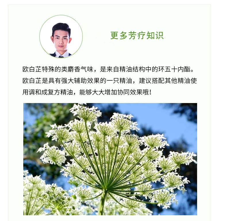 欧白芷单方精油  滋养补身   纯植物根部蒸馏提取 小卢耕香 - 图0