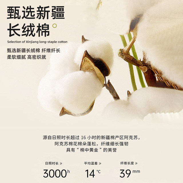 2025 new cotton old coarse cloth printed bed sheet