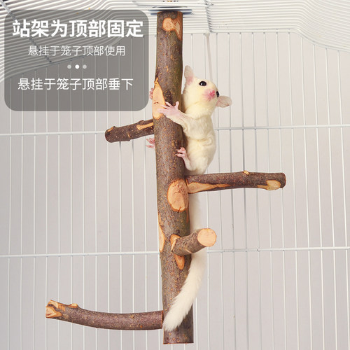 苹果木枝叉跳台树桩吊桥楼梯蜜袋鼯龙猫磨牙仓鼠玩具松鼠玩耍用品 - 图1