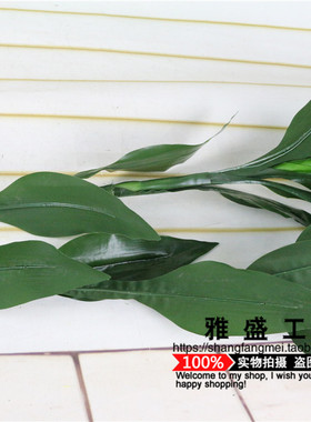 富贵竹田园乡村房间绿植装饰花