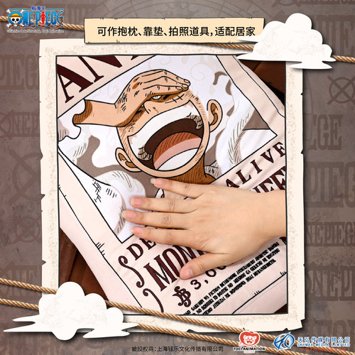 春季上新海贼王正版抱枕海贼王系列生日礼物双面靠枕海贼王抱枕 - 图0