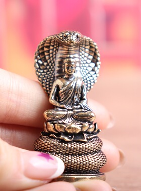 眼睛蛇释迦摩尼佛摆件高级感小众铜工艺品文创市集亚马逊跨境专供