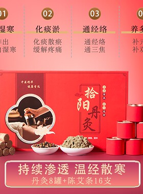 丹灸珍珠灸套盒温阳帝王禅香灸正阳中药丸86味16次美容院艾灸套盒