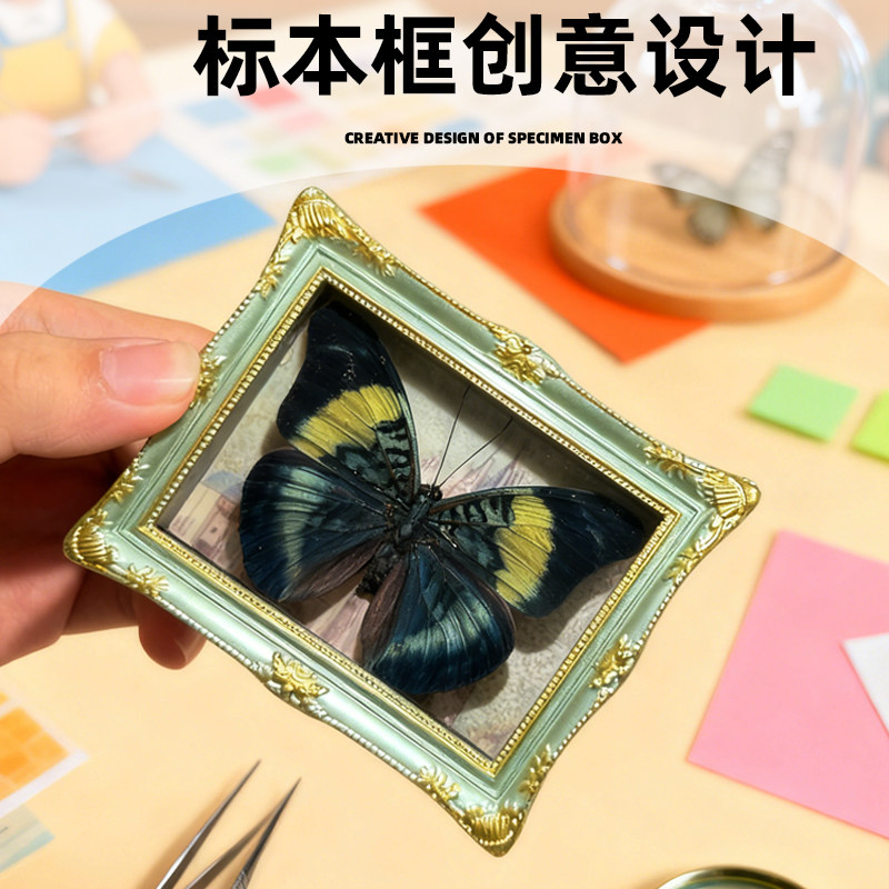 标本diy相框冰箱贴 相框立体相框冰箱贴摆件 DIY手作文创相框磁吸,淘宝优惠券,粉丝福利购,淘宝优惠卷