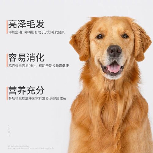 凯牧诗狗粮10kg幼犬牛肉果蔬泰迪比熊贵宾金毛小中大型通用20斤装 - 图2