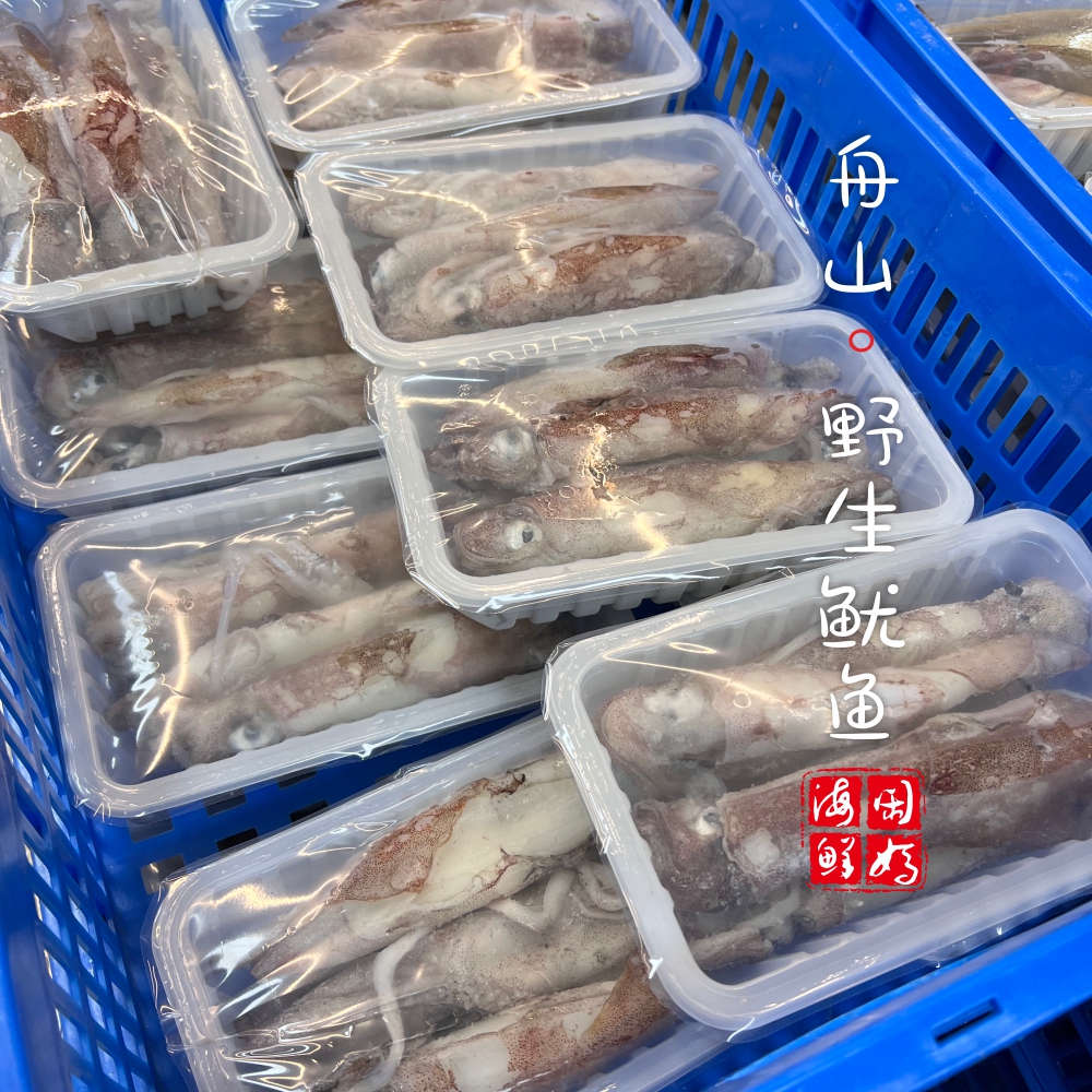 【闹妈】镇店之宝硬皮鱿鱼句公 1斤5-8只左右(500g±30g[鲜冻]-图2