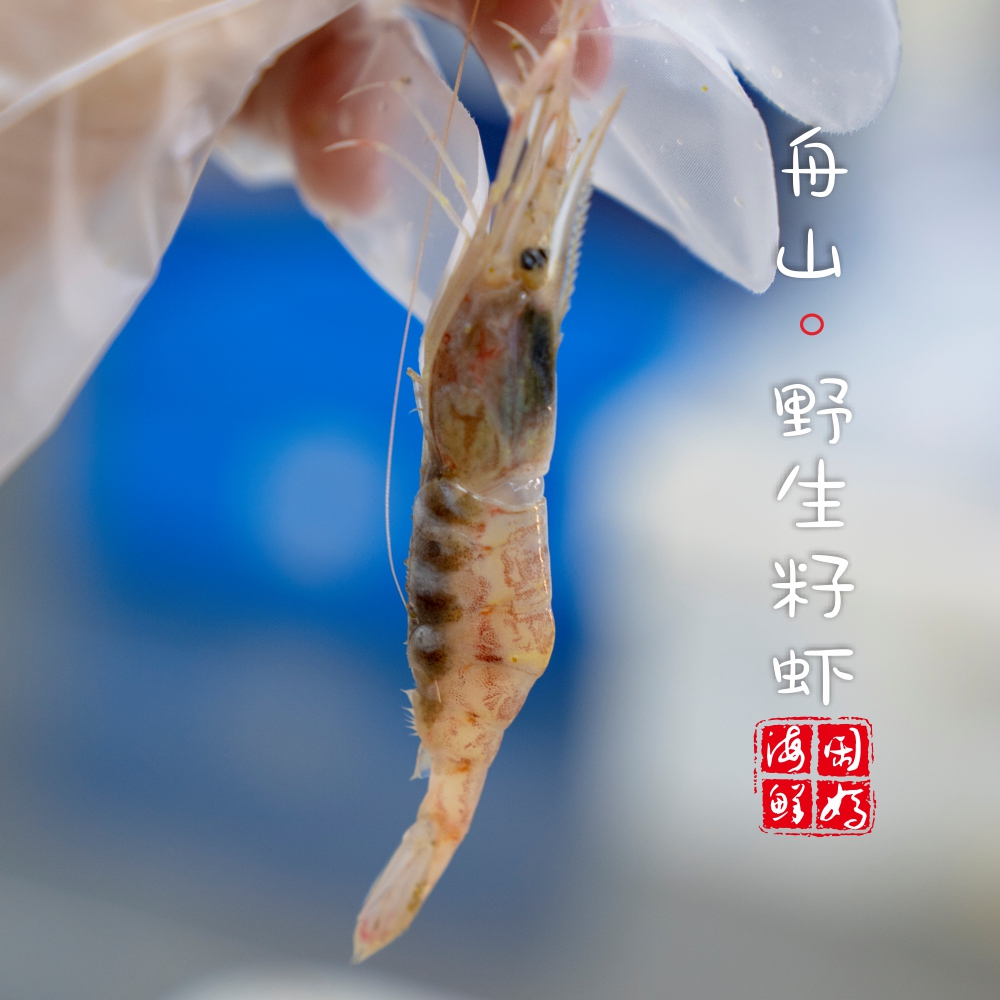 【闹妈】舟山野生海虾带籽虾季节货含籽量70%左右400g/盒[冻发] - 图0