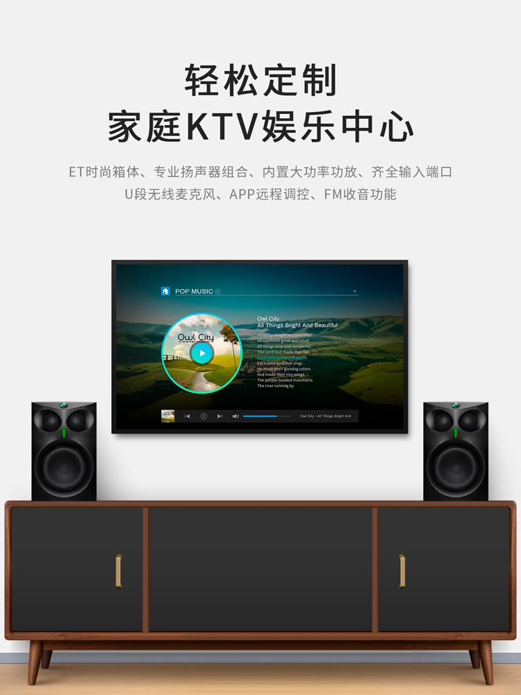 Swan Huiwei speaker home karaoke active ktv speaker