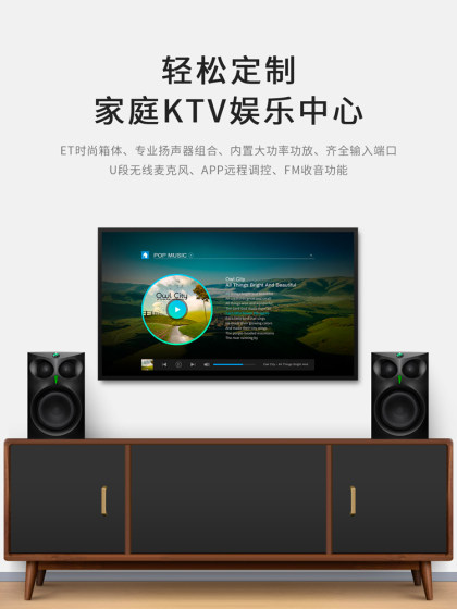 HiVi Huiwei ET800 active ktv audio
