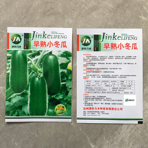 早熟小冬瓜种子东瓜菜籽室外春季秋季菜园室内阳台种盆栽蔬菜种子 - 图1