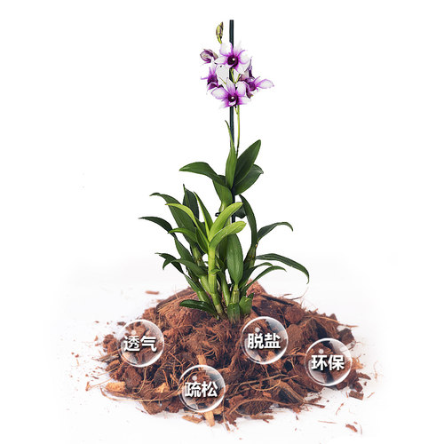 进口大块椰壳兰花植料粗椰壳椰砖营养土脱盐石斛花土蝴蝶兰专用土 - 图2