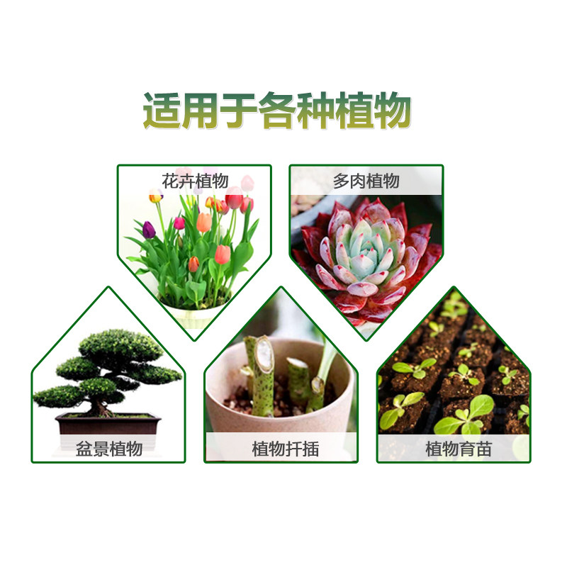 珍珠岩通用型介质园艺养花盆栽垫底基质多肉颗粒肥料无土栽培铺面,淘宝优惠券,粉丝福利购,淘宝优惠卷