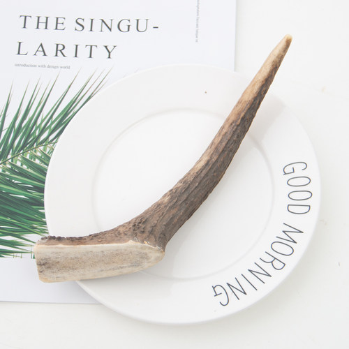 澳洲进口天然鹿角磨牙骨法斗柯基耐咬磨牙棒洁齿骨宠物磨牙零食 - 图2