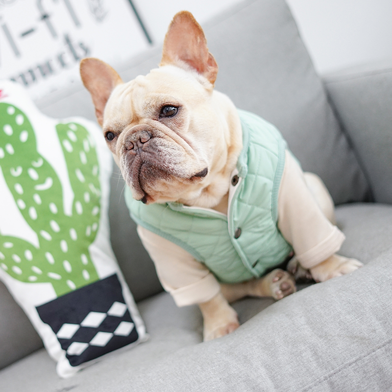 法斗衣服狗狗服饰保暖巴哥柯基泰迪犬宠物衣服秋冬加厚棉马甲背心