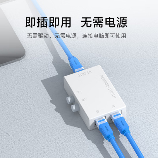 Maxtor VJ internal and external network switch 2 ports
