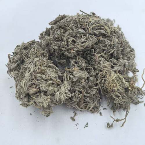 绵茵陈 拍2件包邮 白蒿 茵陈蒿 草茵陈因陈 茵陈草 中药材 500g克 - 图1
