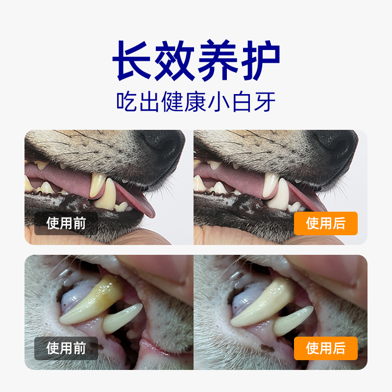 【柿子菌】小壳宠物洁牙粉除口臭去牙结石牙齿口腔清洁犬猫通用 - 图1