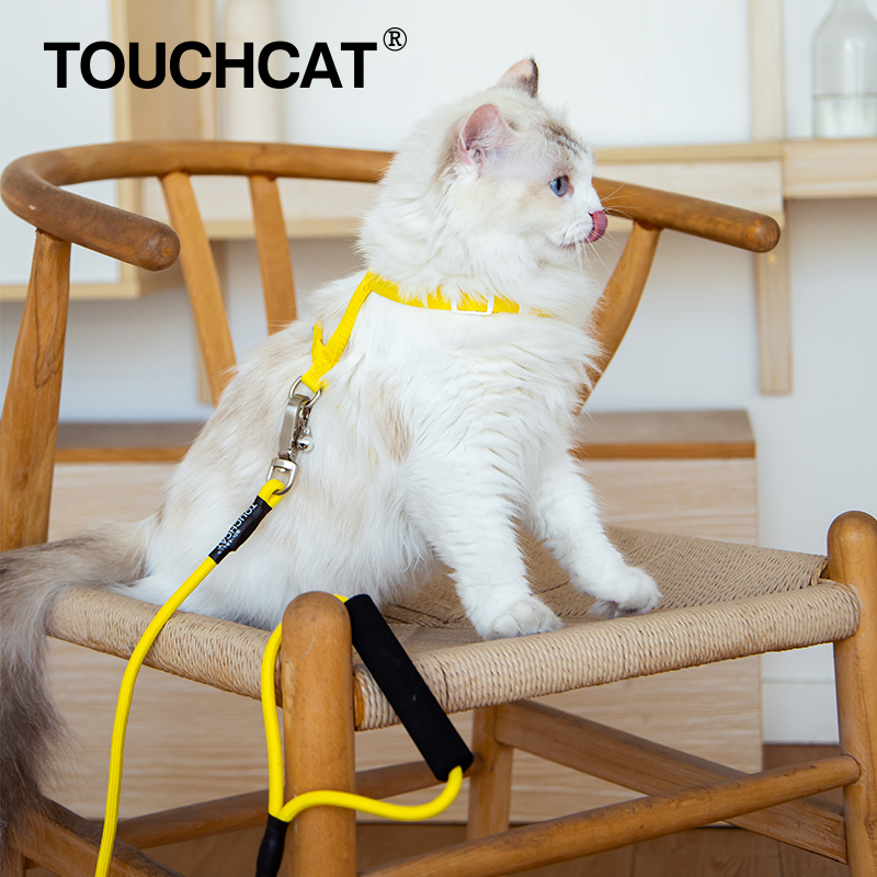 【柿子菌】Touchcat猫咪牵引绳 外出溜猫绳 防挣脱猫绳项圈易背带 - 图2