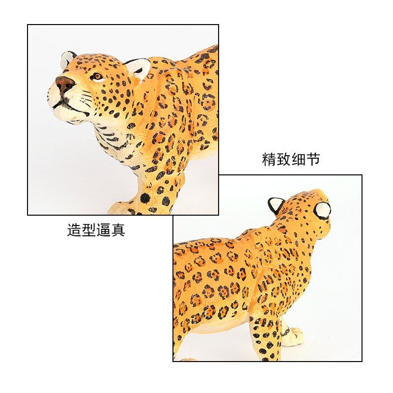 大美洲豹模型24cm花豹金钱豹豹子仿真野生动物摆件 儿童认知玩具 - 图2
