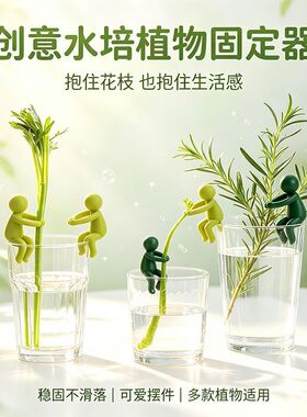新款水培植物生长伴侣防倒伏扶枝