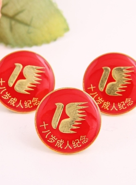 毕业季小学生徽章成人礼仪式纪念章班徽校徽胸针胸章设计