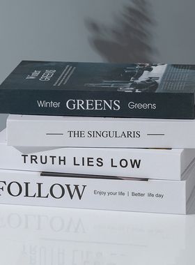 现代简约仿真书装饰品