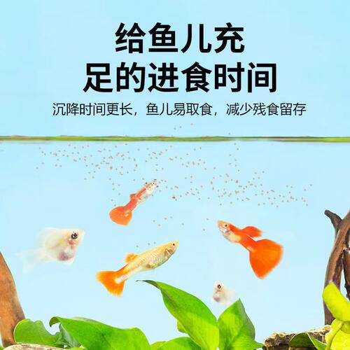 大渔号热带鱼饲料幼鱼食小颗粒孔雀鱼小玛丽米奇斗鱼斑马鱼通用粮 - 图0