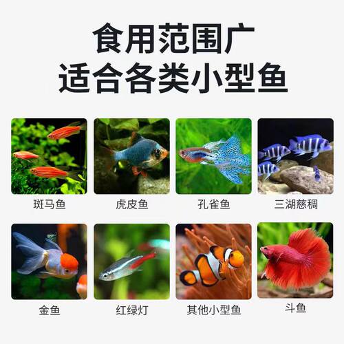大渔号热带鱼饲料幼鱼食小颗粒孔雀鱼小玛丽米奇斗鱼斑马鱼通用粮 - 图1